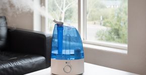Find The Best Humidifier For Your