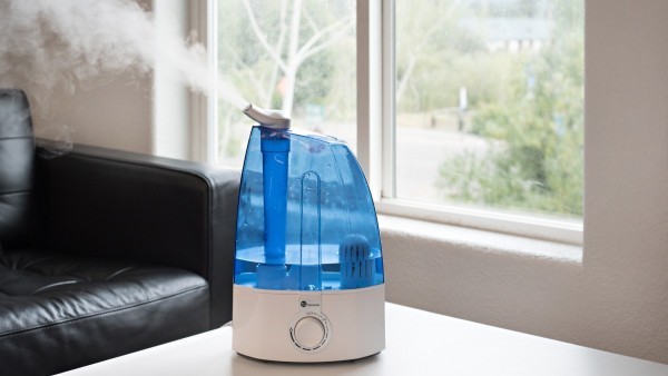 Find The Best Humidifier For Your